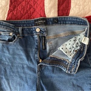 Lucky Jeans Bridgette Skinny Jeans 12